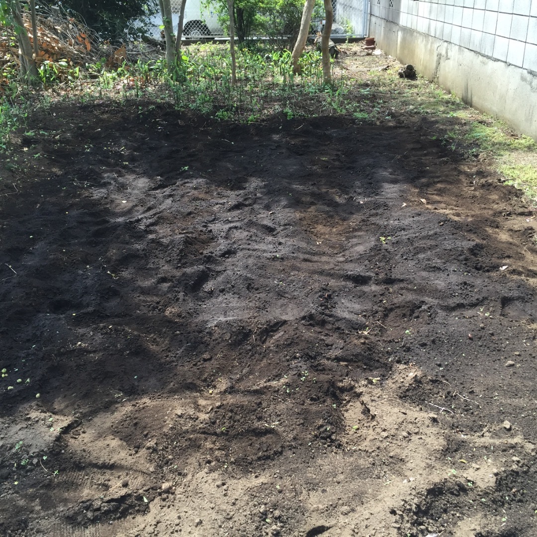 家庭菜園も少しずつ規模拡大してます 家庭菜園